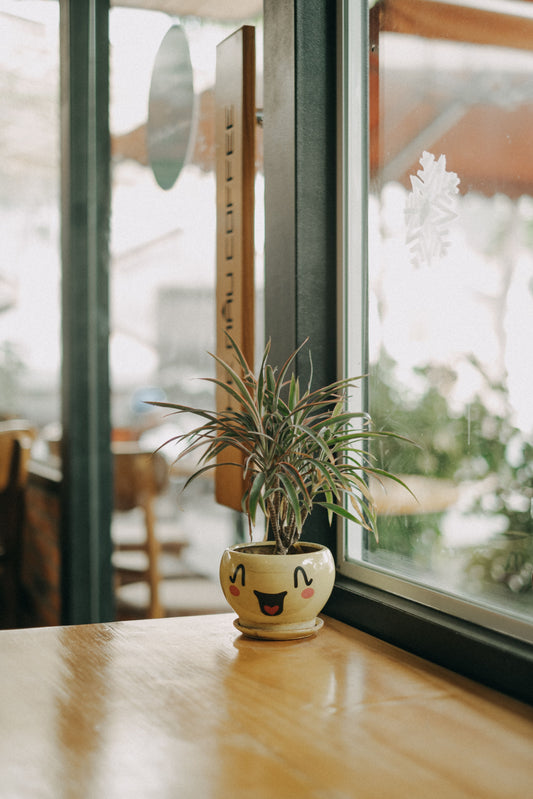Starting Your First Plant in Fall