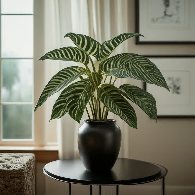Botanical Gems