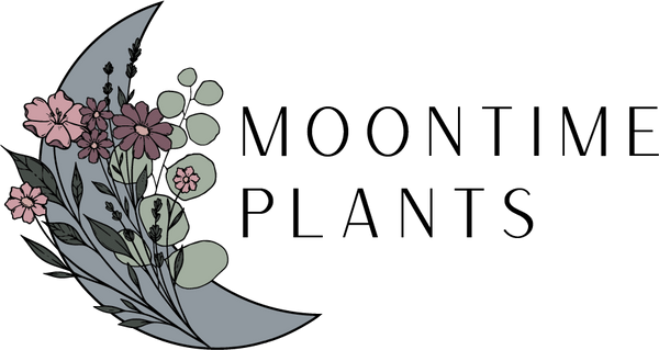 Moontime Plants