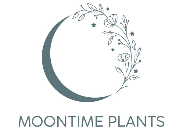 Moontime Plants