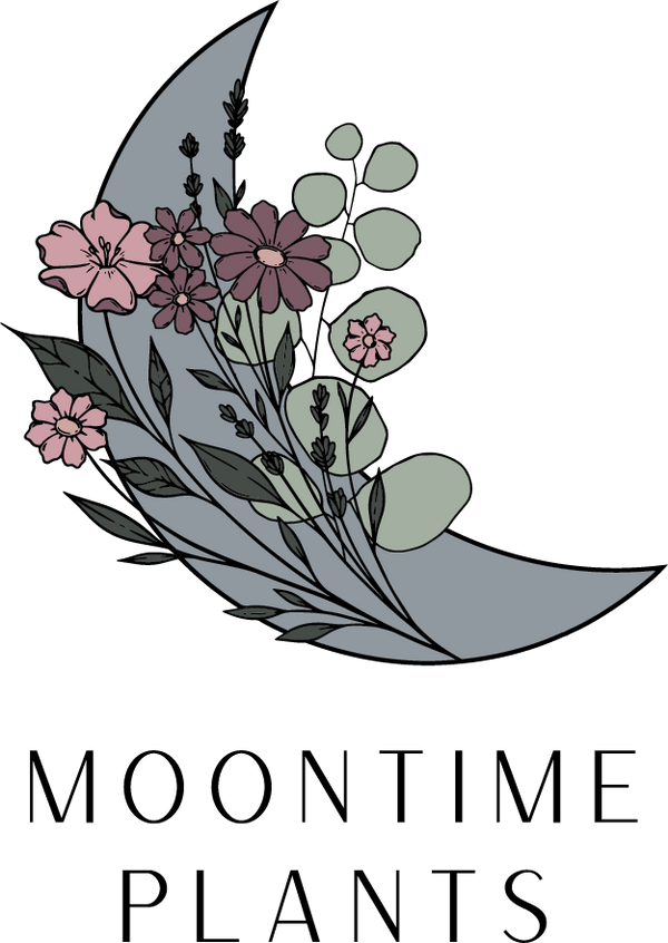 Moontime Plants